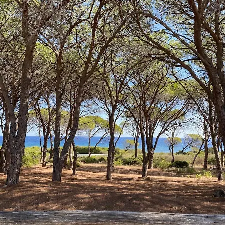 Villini Vista Mare Con Piscina By Budoniaffitti * Isolotto dei Pedrami