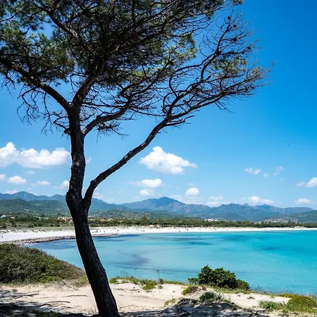 Villini Vista Mare Con Piscina By Budoniaffitti Isolotto dei Pedrami