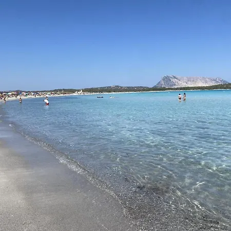 Villini Vista Mare Con Piscina By Budoniaffitti Prázdninový dům *