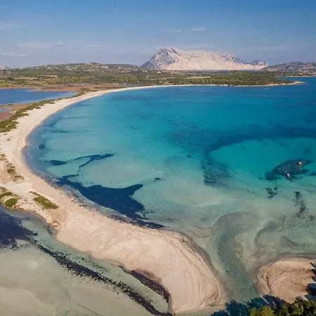 Villini Vista Mare Con Piscina By Budoniaffitti