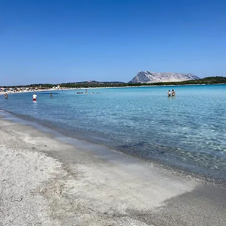 Villini Vista Mare Con Piscina By Budoniaffitti Holiday home Isolotto dei Pedrami